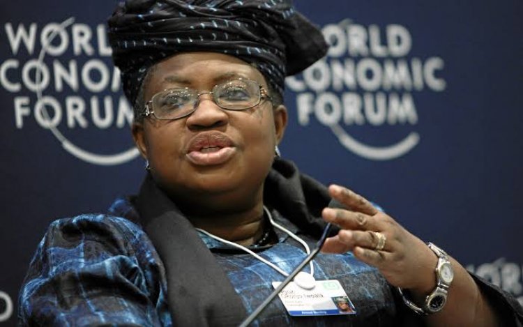 WTO DG: Nigeria's Candidate, Okonjo-Iweala Gets To Final Stage