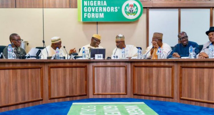 'We Didn’t Hoard COVID-19 Palliatives' – Nigerian Governors Reveals