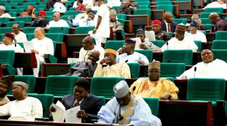 Insecurity: Reps To Summon President Buhari Over Borno Killings