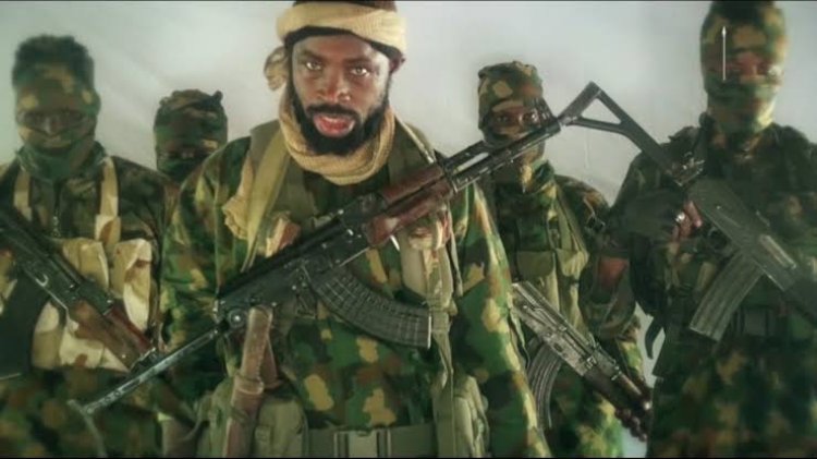 Boko Haram Claims Responsibility For Killings Of Farmers In Borno, Gives Reasons
