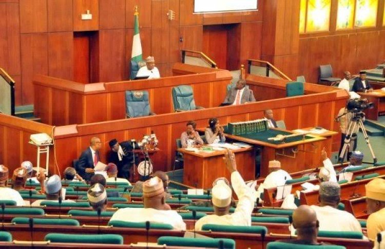 Borno Killings: 'President Buhari’s Snub Of NASS Questions Our Existence' – House Of Reps