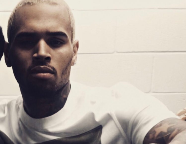 "Tems Is So So Fire" – Chris Brown Admires Nigerian Singer, Tems