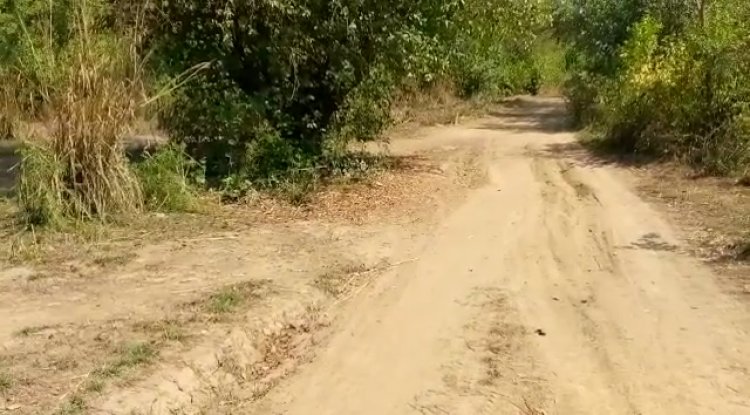 Residents of Naawuni appeals for construction of bush road