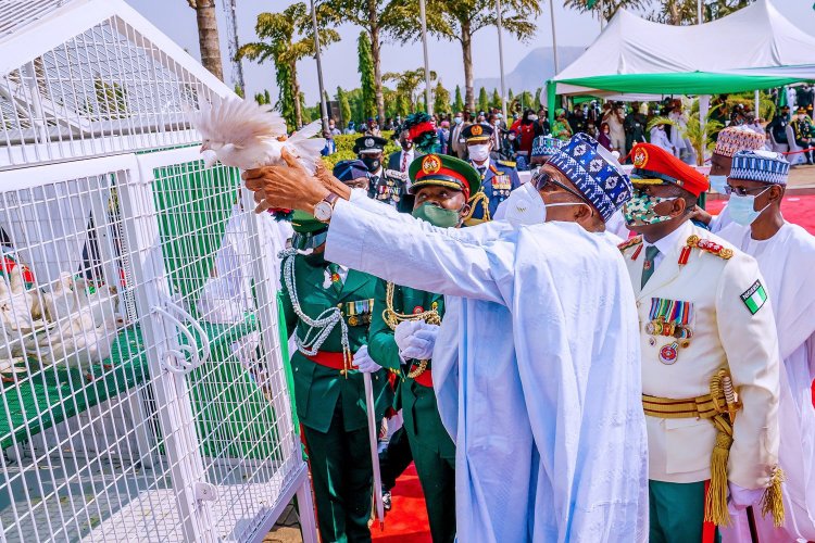 'Why Pigeons President Buhari Released Refused To Fly' – Presidency Reveals