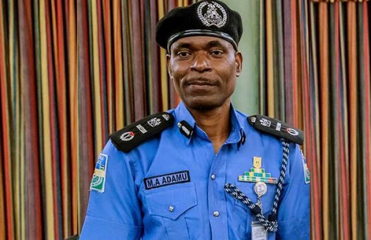 IGP Orders Probe Of The Sack Of Unmarried Pregnant Policewoman