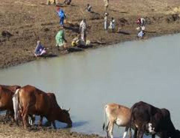Gberimani Residents In Northern Region Share Water With Animals, Call On Government For Help