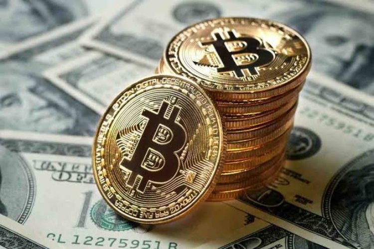 Davido Set to Establish Bitcoin Trading Company