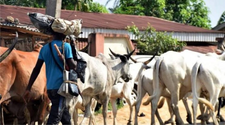 We’ve Started Relocating  – Fulani Herdsmen Declares