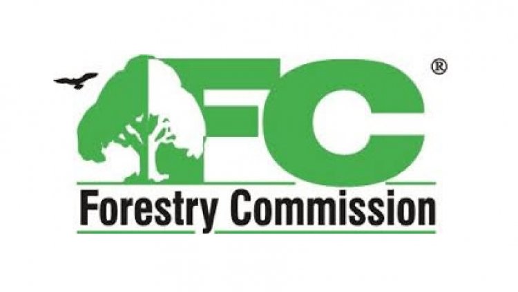 Timber Merchants beg Akufo- Addo to appoint Ahafo Native to Head Forestry Commission