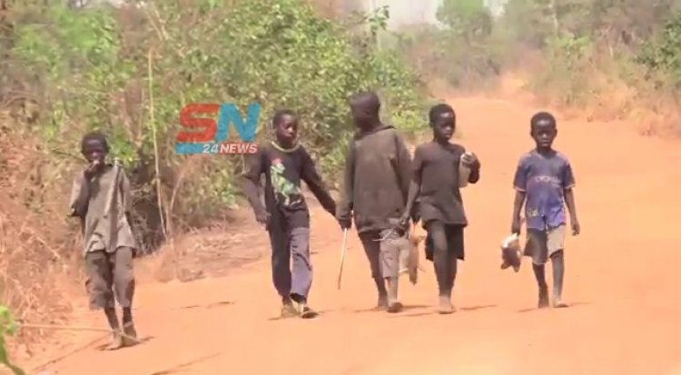 Kinyange M/A Primary Pupils Abandon Classes for Bush Meat Over Lack of Teachers