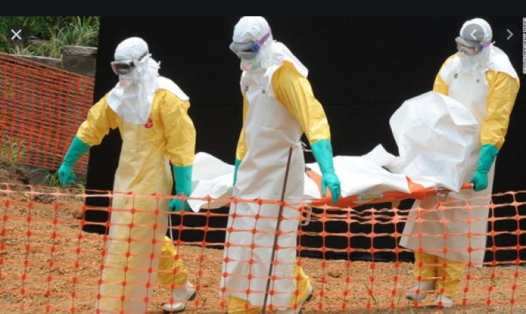 What do you know About Ebola  As it Emerges Again? 