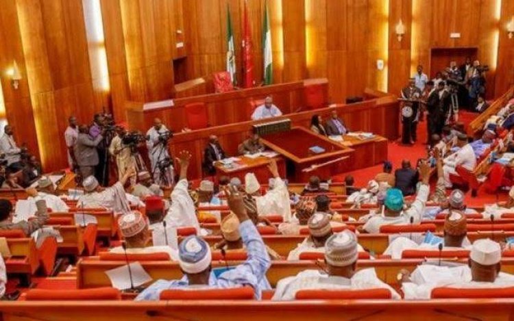 Nigerian Senate Confirms The Appointment Of New Service Chiefs