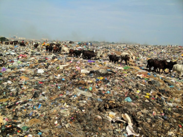 Kakpayili Cry over a Decade Garbage Heap