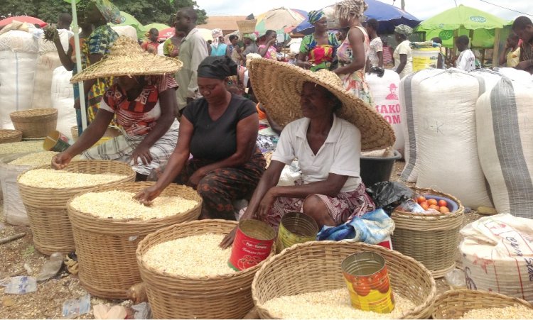 Maize in abundance but prices high- dealers refutes  Akufo-Addo's claim