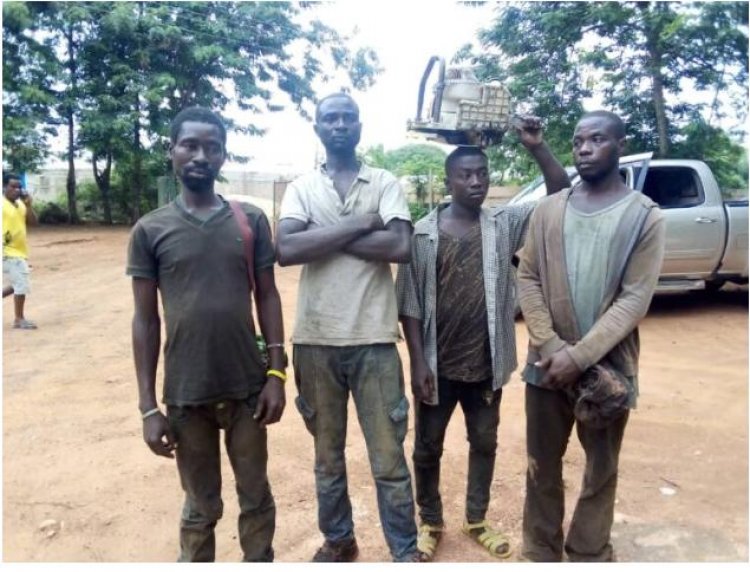 Dormaa Forest Guards Arrests Four Illegal Lumbermen