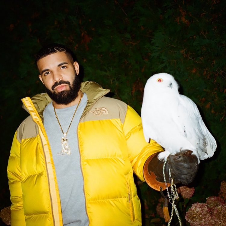 Armed Woman Arrested Outside of Drake’s Toronto Mansion