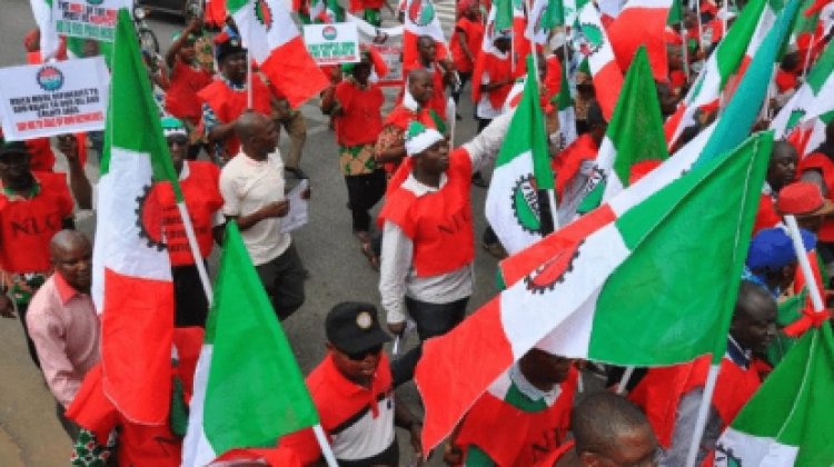 Nigerian Workers Oppose Scrapping of Local Councils