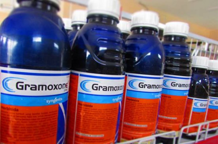 18-Year-old drinks Gramoxone Weedicide to death after failed Relationship