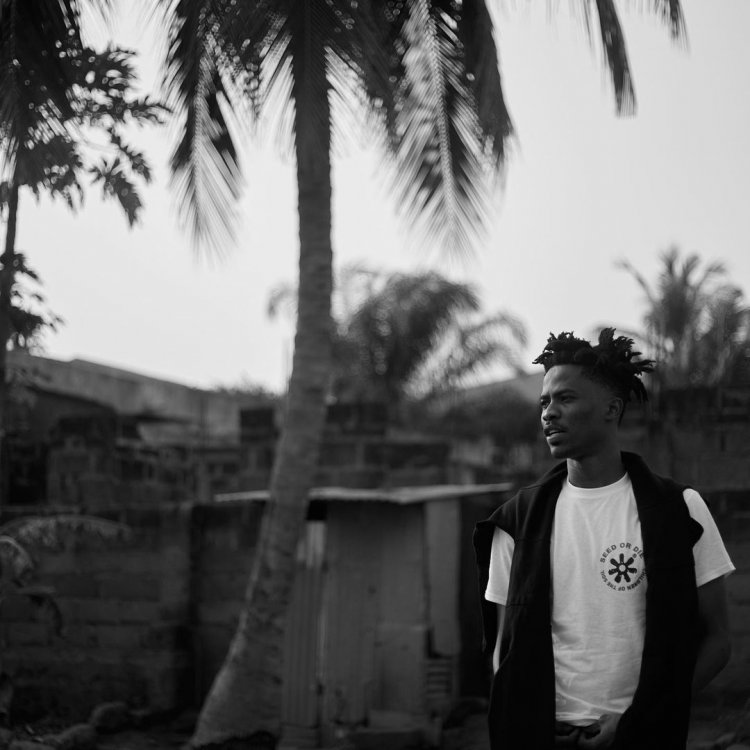 Even Picasso Took Inspiration From Works Of Others - Kwesi Arthur