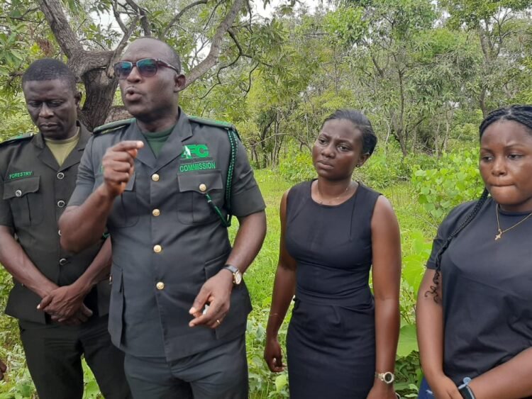 Forestry Commission  Provides 15,000 Seedlings To Mole National Park As Part of Green Ghana Day Project