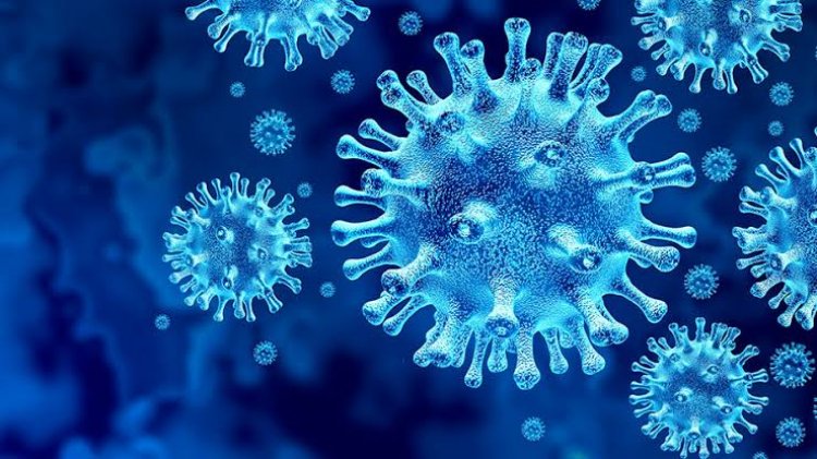 Africa’s Coronavirus Cases Surpass 4.83M