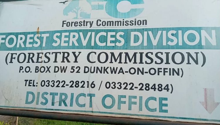 Dunkwa District Forestry Commission To Plant About 50,000 Trees By June