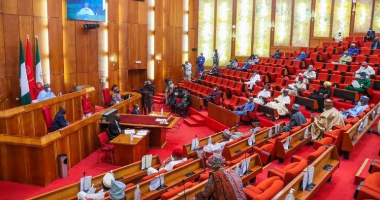 Nigerian Senate Mourns Ibrahim Attahiru, Ahmed Gulak, Others