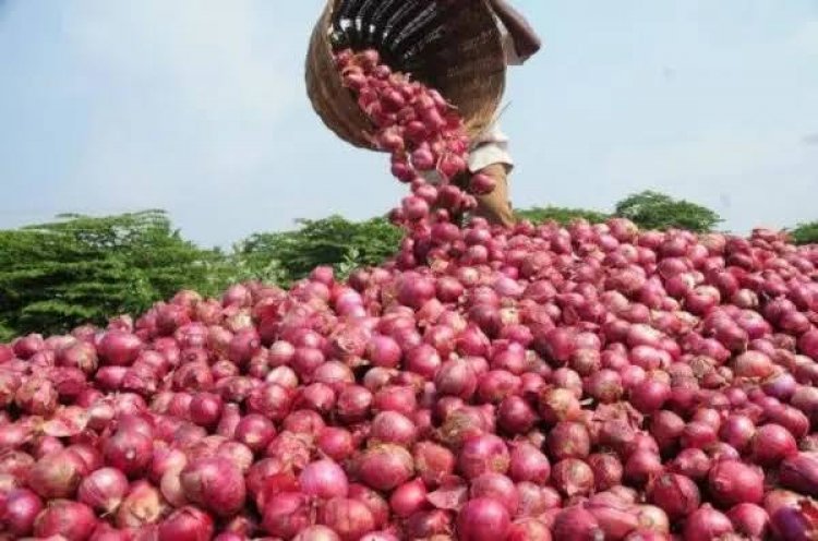 Southeast Crisis: Onion Marketers Suspend Supply