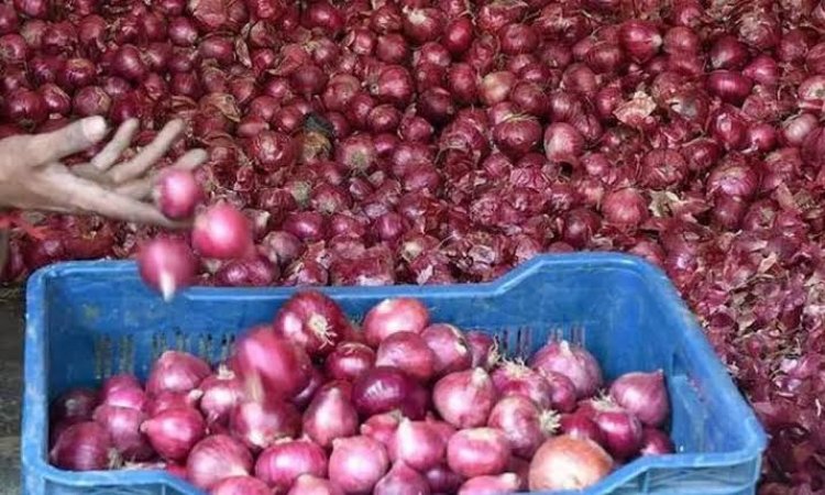 Onion Supply Blockage: Stakeholders Urge FG To Intervene