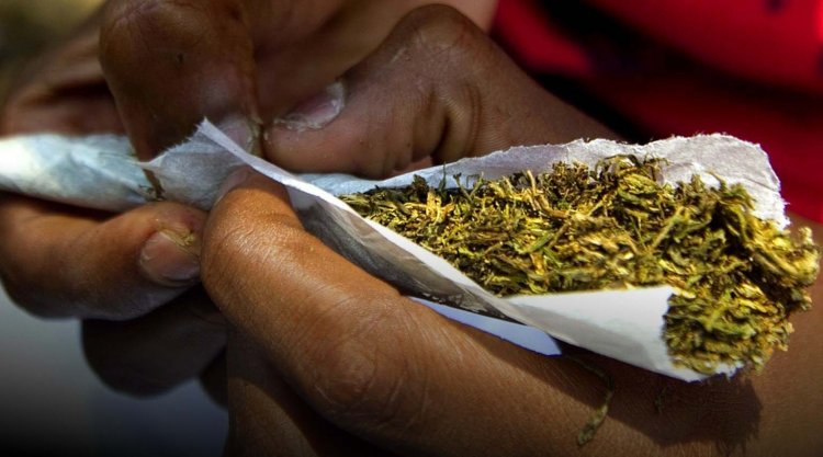 Weed legalization: Dormaa residents predict doom for youth