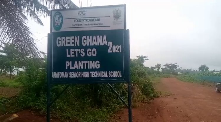 Green Ghana Project: Ahafo Region plant more than 170,000 tree species