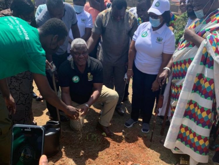 MP leads "Green Ghana" project in Ledzokuku