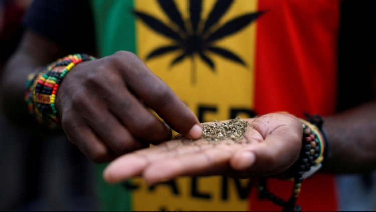 Marijuana legalization: Put proper measures in place - Adom chief urges Government