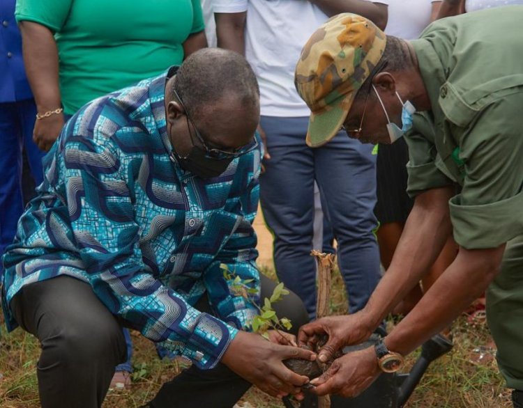 Green Ghana Project: Let’s plant more to create jobs - Alan Kyerematen