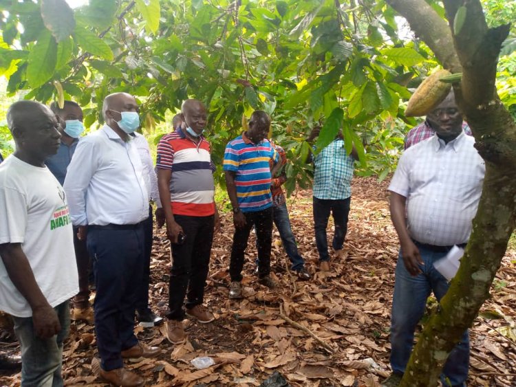 Protect the trees we’ve planted – Ahafo Regional Minister to Residents