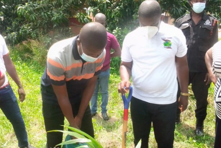 Gomoa West Assembly Distributes 7,588 Seedlings Trees To Farmers