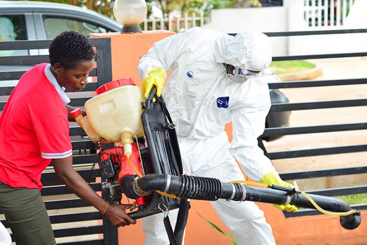Pest and Vector Control Association (PEVAG) Launched to Regulate its Activities