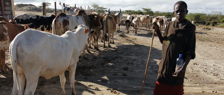 "We are being tormented by the Komkoba's - herdsmen