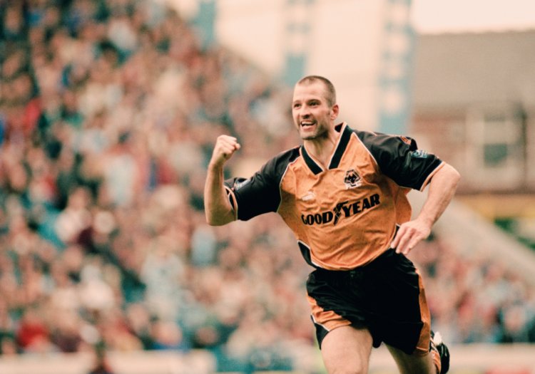 Steve Bull wants to see Wolves bring in more experienced players