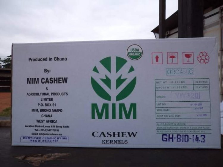 More than 1,000 employees laid off at Mim Cashew