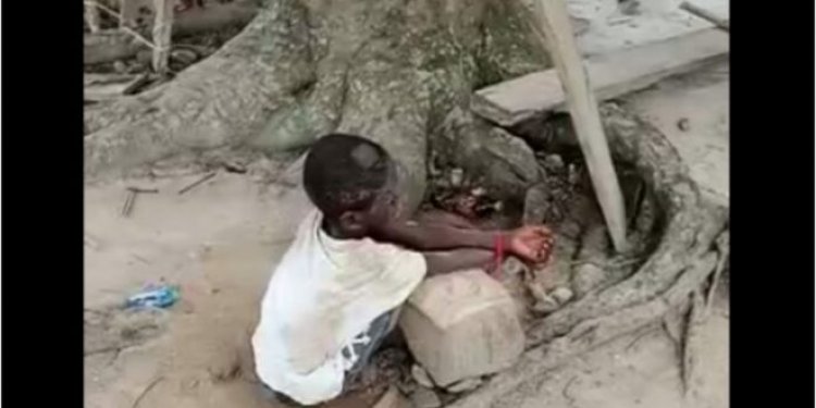 Court Grants three Persons Bail After Tying 6-Year-Old Boy to A Tree 