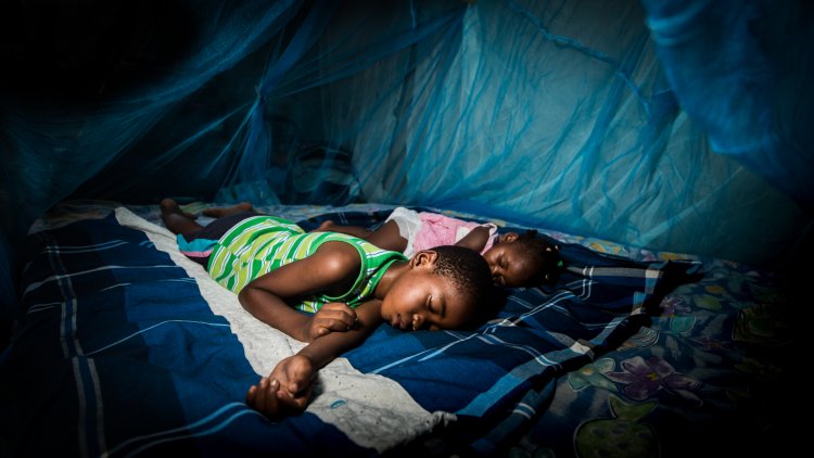Take advantage of the free distributed mosquito nets - GHS to public   