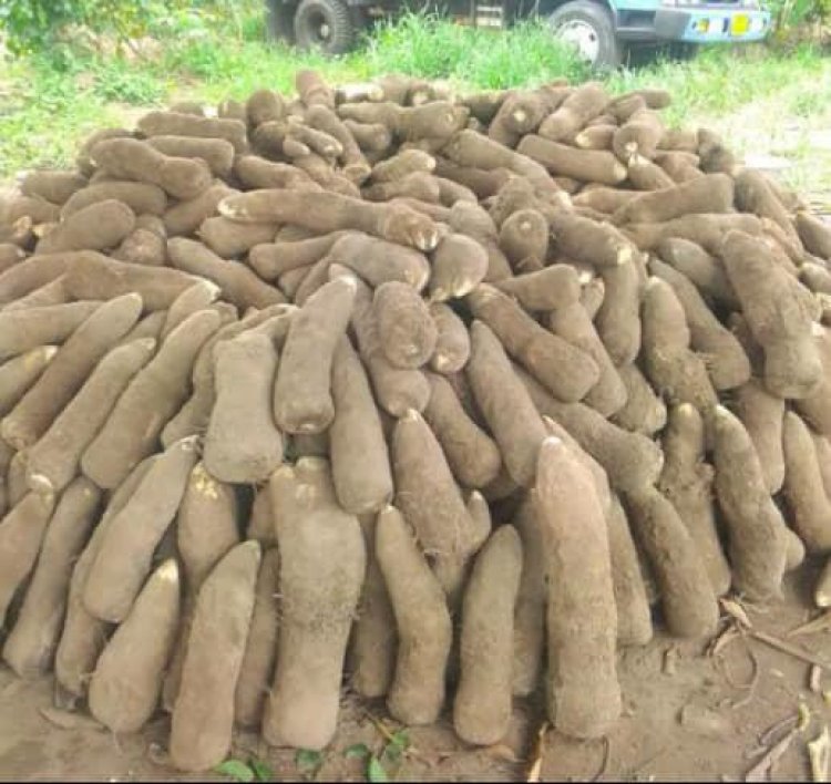 "We are enjoying peace in our Yam Market" - Offuman Residents