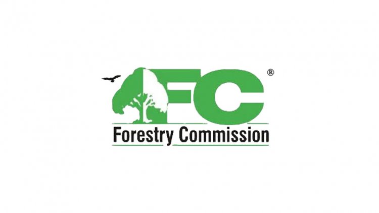 We will lose our natural forest if care is not taken -District forestry commission manager