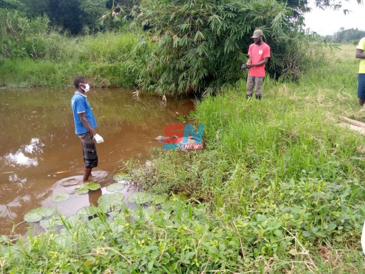 Cocoa Pollination Personnel found dead in a river at Dompim