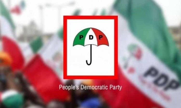 'Producing Next Governor Our Priority' – Niger PDP