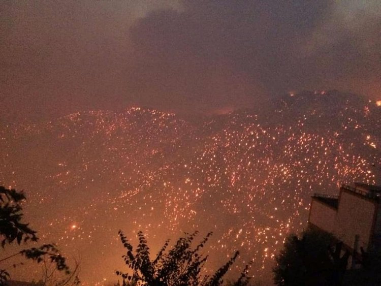 Algeria forest fires: Dozens killed in Kabylie region
