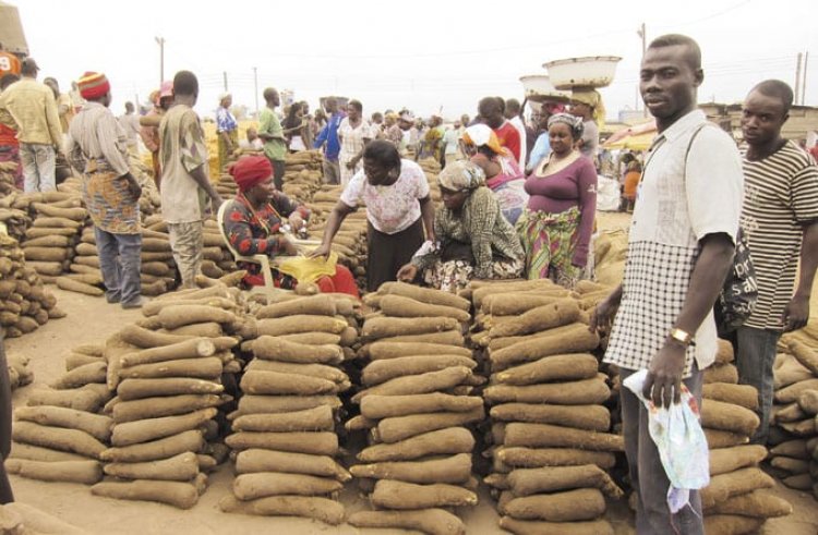 Yam sellers complain about poor state of market