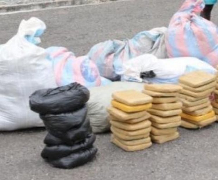 Narcotics Control Commission intercepts 128 sacks of cannibis