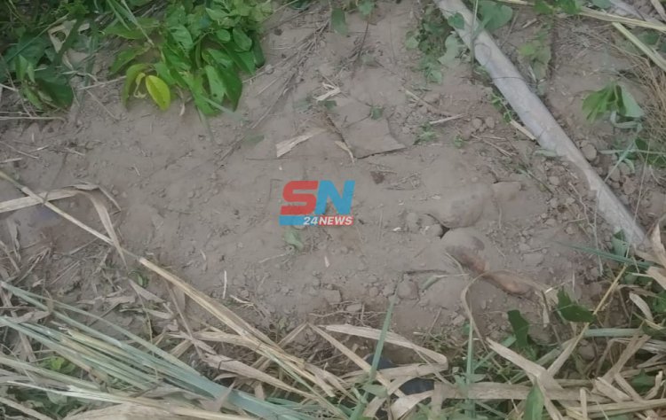 65-year-old woman beheaded, parts of the body buried at Assin Atintan near Assin Breku
